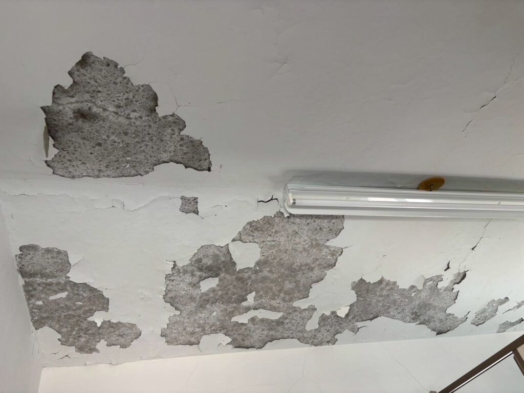 大木町　寺　トイレ　屋上防水　着工前 (7)